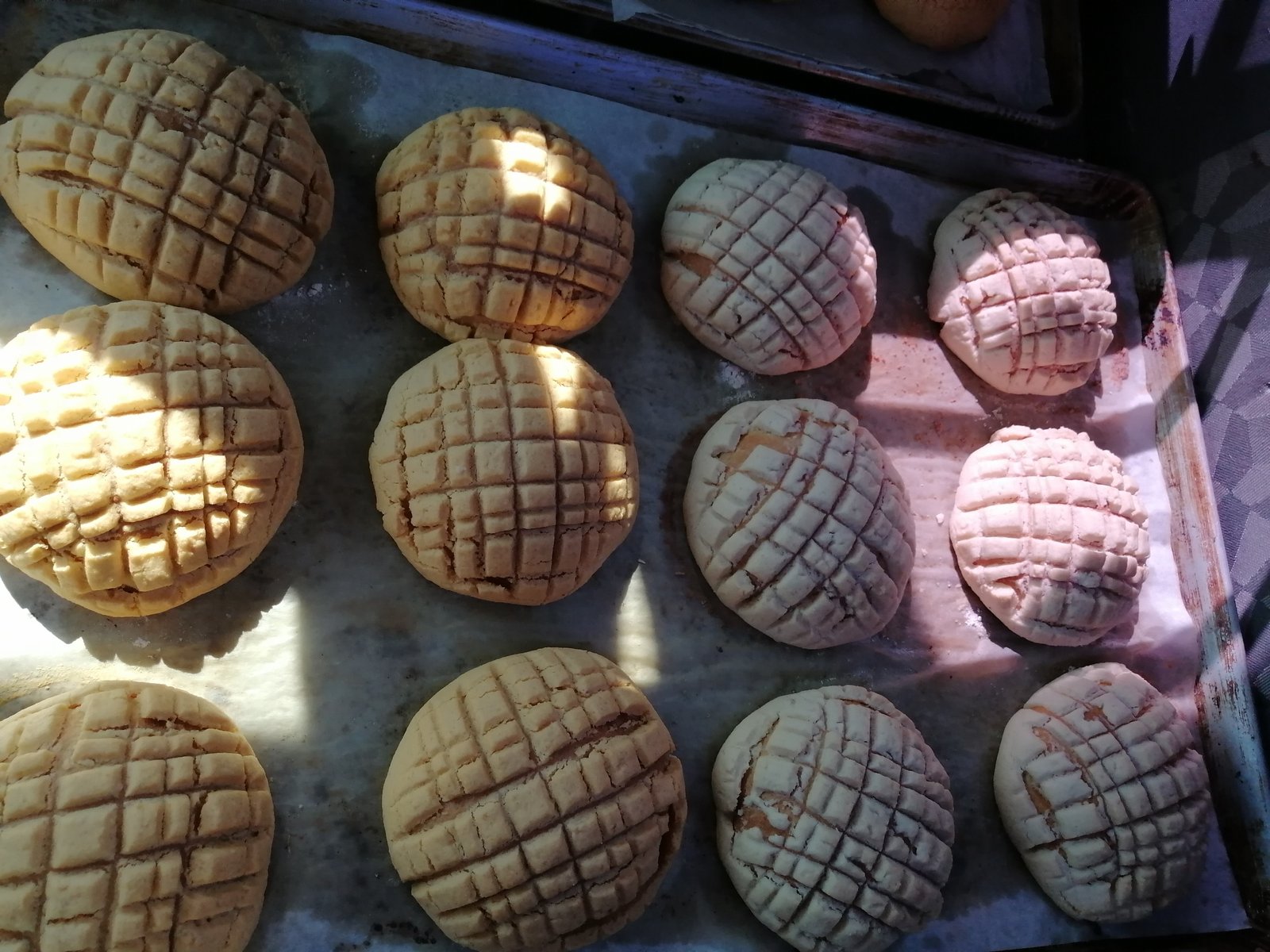 Conchas